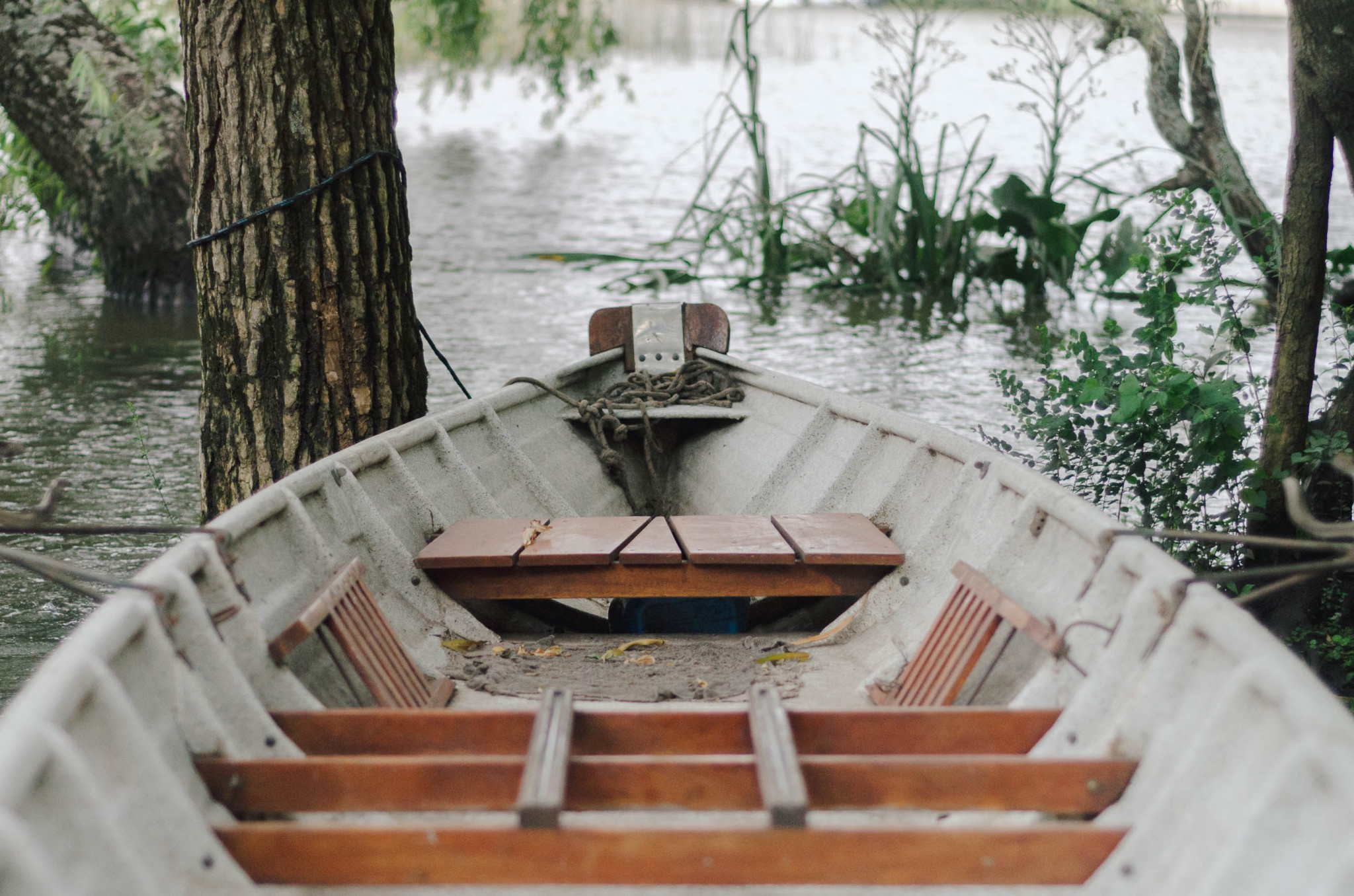 mai-rodriguez-546032-unsplash